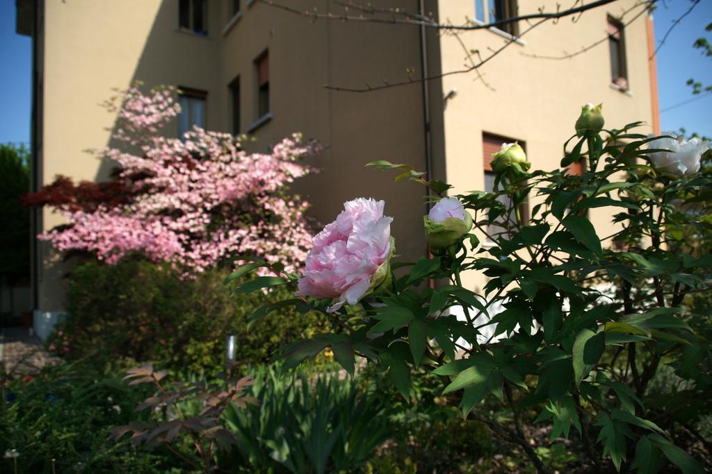 Boutique Apartment Casa Angela 우디네 객실 사진